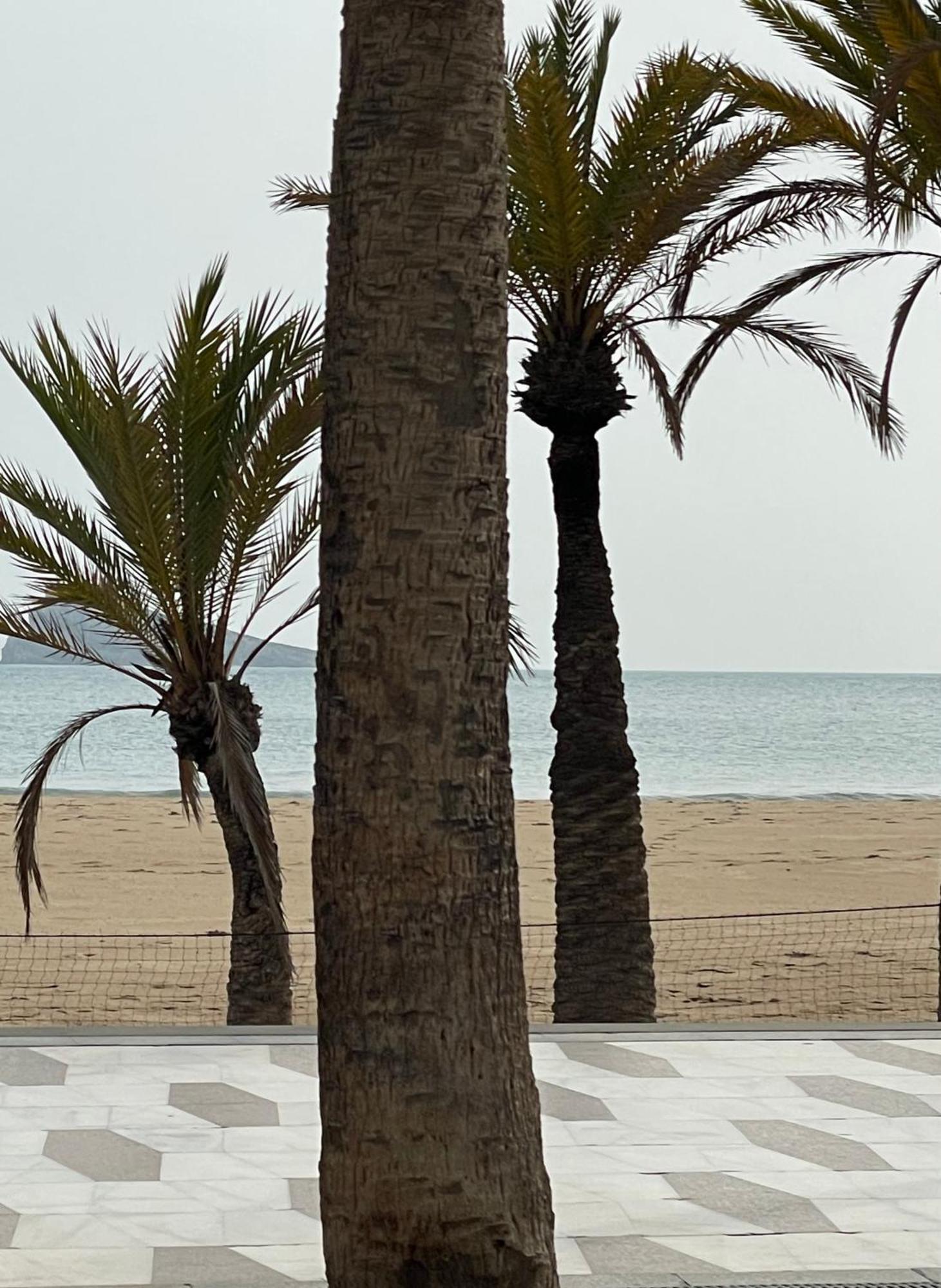 Casa Holiday Finestrat - 3 Bedroom Flat With Common Pool Extérieur photo